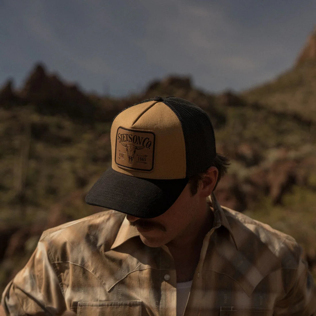 Stetson Longhorn Patch Trucker Cap, Tan/Black
