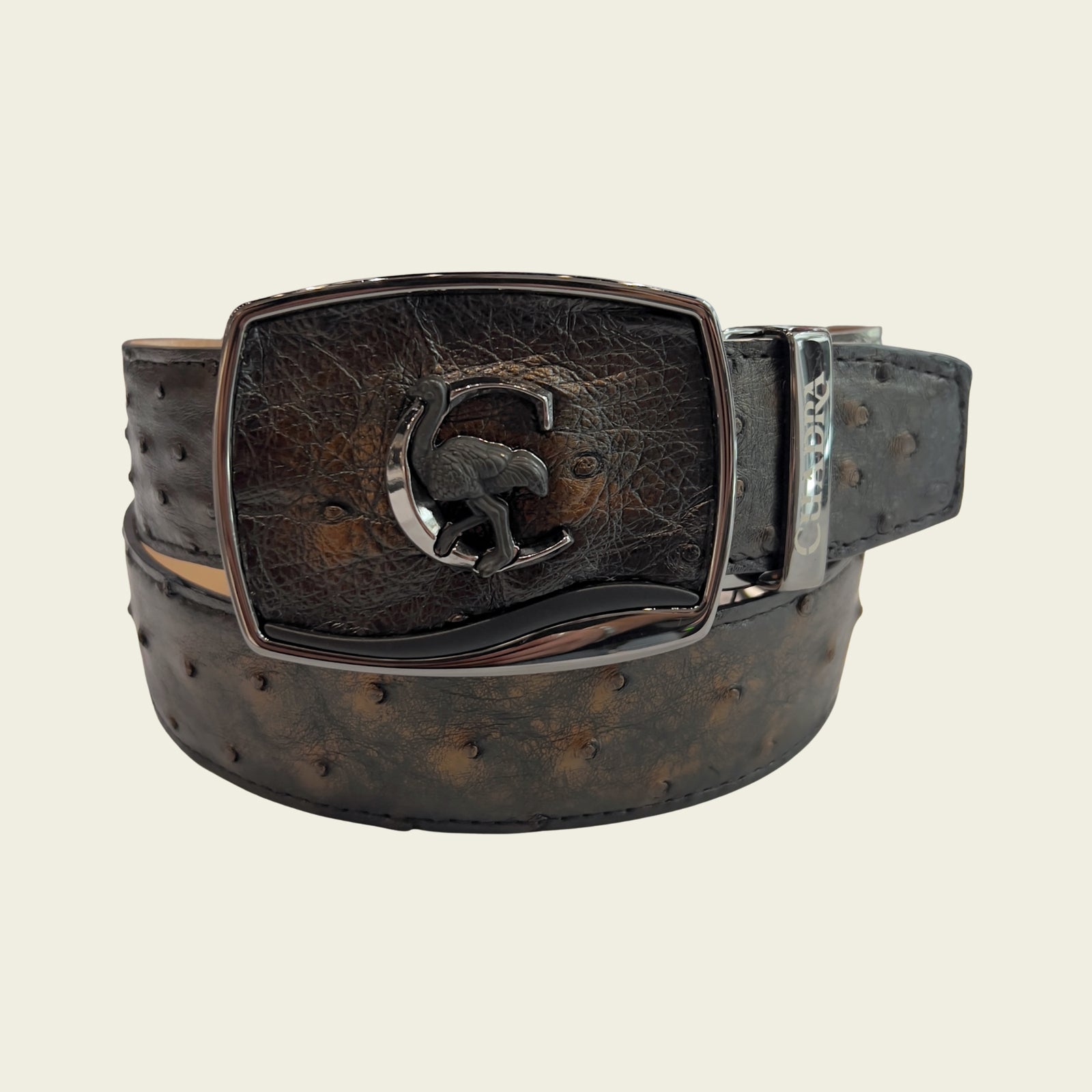 Cuadra Men's Ostrich Leather Belt, Golden