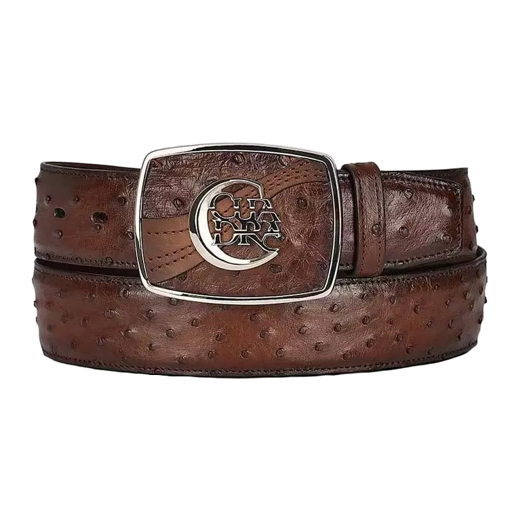 Cuadra Men's Ostrich Leather Belt, Moroni Chestnut