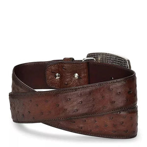 Cuadra Men's Ostrich Exotic Strip Leather Belt, Moroni Chestnut