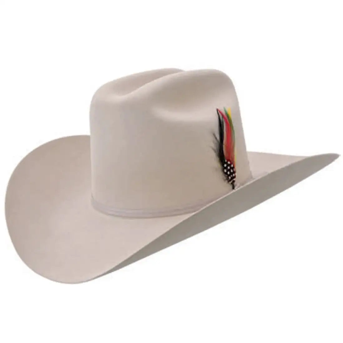 Stetson Men's 6X Classic Rancher Cowboy Hat, Silver Belly