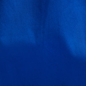 Ariat Men's Team Logo Twill Long Sleeve Shirt, Ultramarine